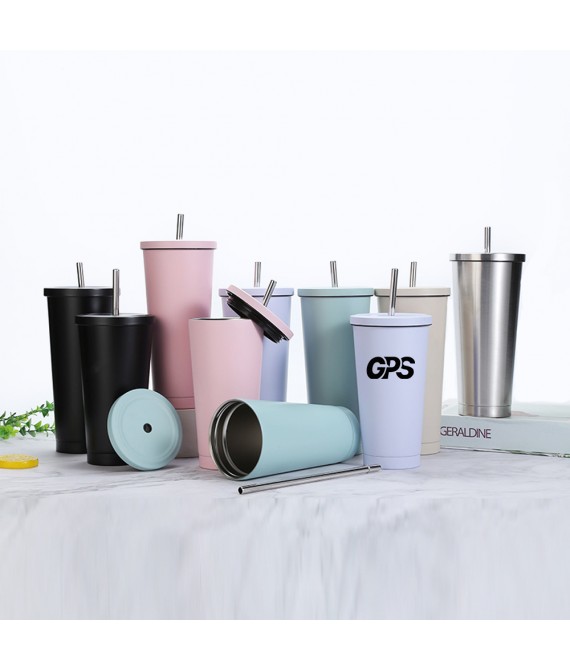 Double Layer Stainless Steel Straw Cup