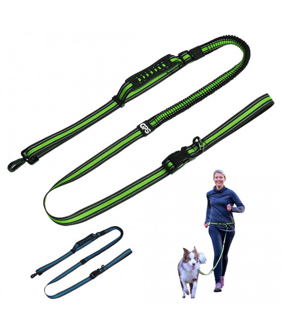 Retractable Multifunctional Nylon Pet Leash