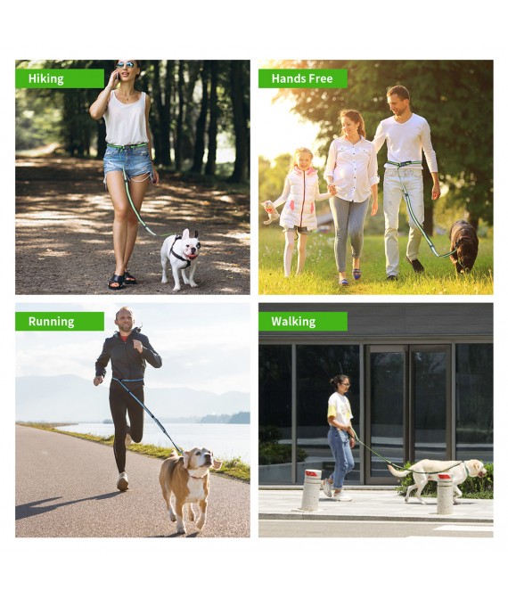 Retractable Multifunctional Nylon Pet Leash