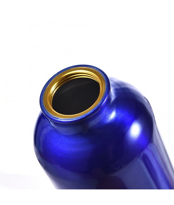 400ml custom pantone color aluminum water bottle with carabiner